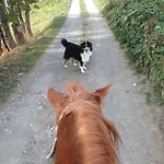 Il Fiocco *