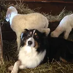 Il Fiocco Farmház *