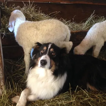 Il Fiocco Alloggio per agriturismo *